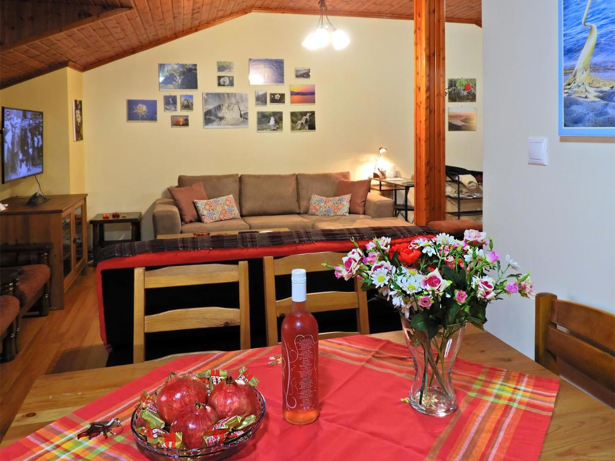 Apartamento Panoramaloft - Quality, View, Sea & Mountain Litochoro Exterior foto